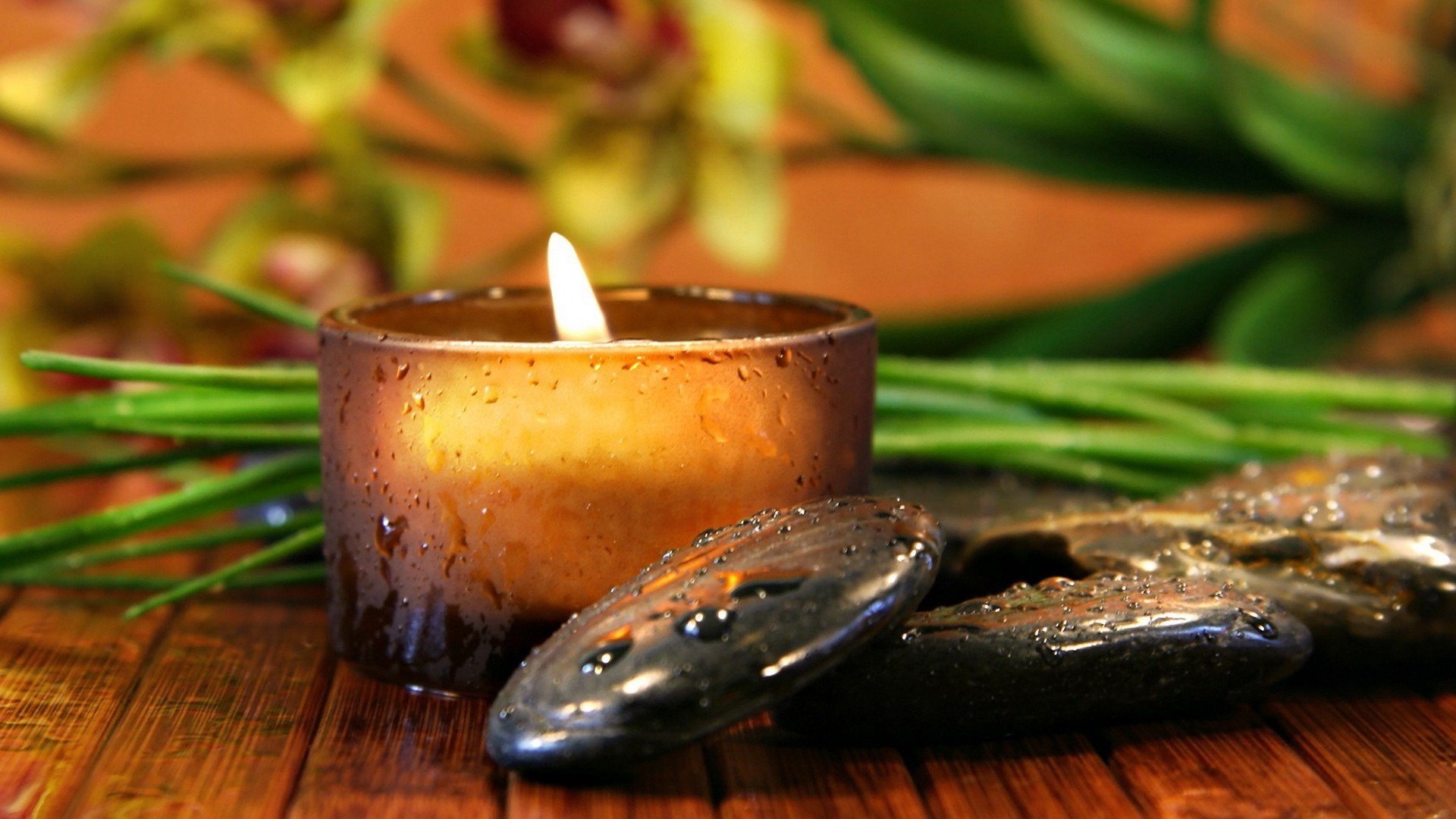 items candle food bamboo grow wood still life aromatherapy oil health flame fish salt