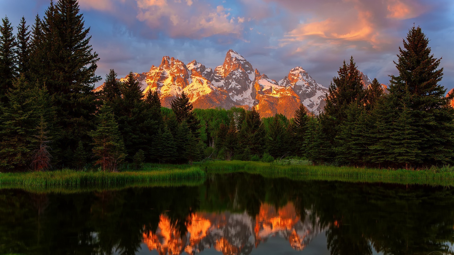 coucher du soleil et l aube lac réflexion eau à l extérieur conifères nature paysage voyage aube scénique bois bois soir