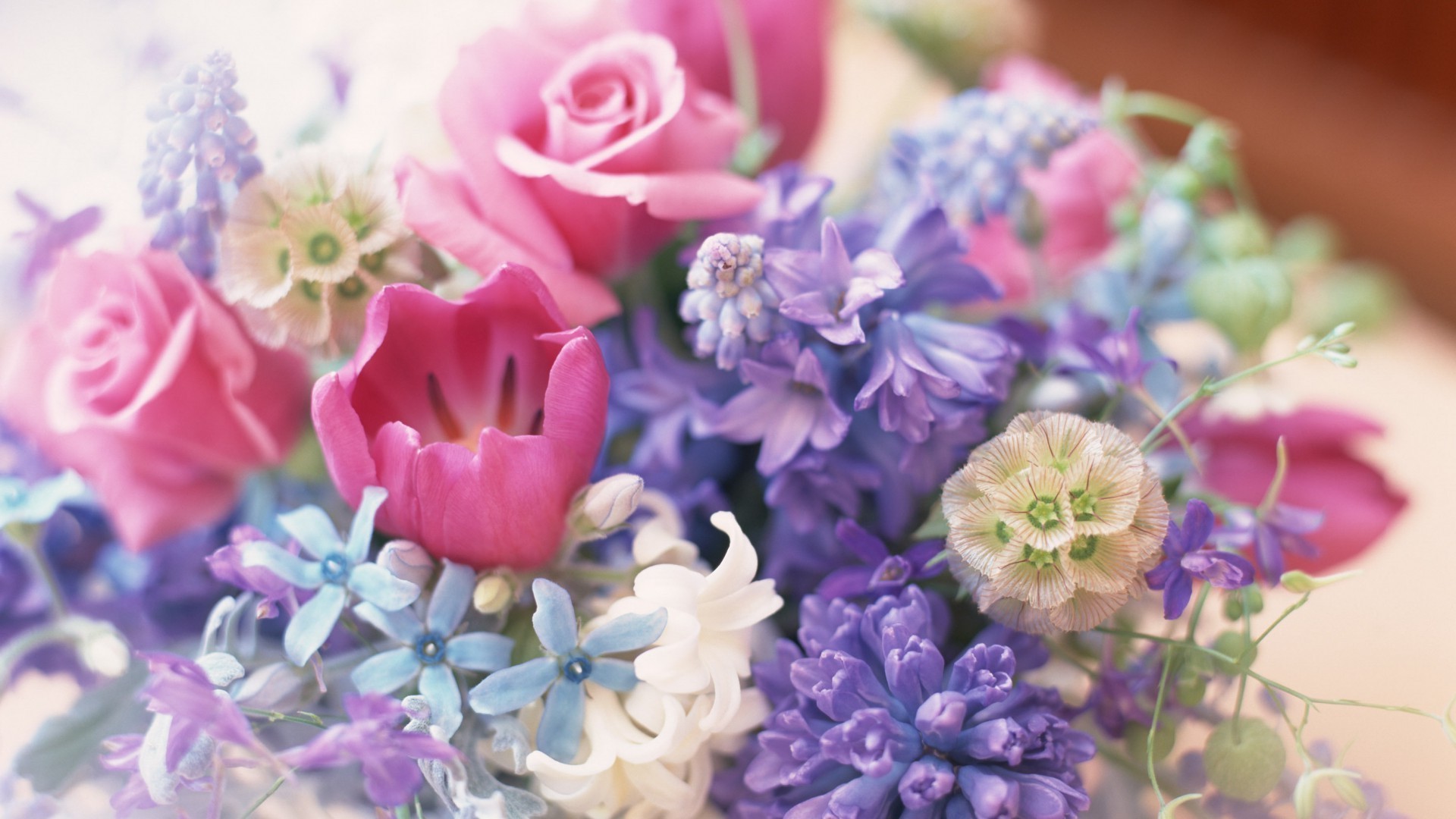 buquê de flores flor flora buquê natureza decoração floral cor bonita blooming pétala verão jardim folha presente casamento