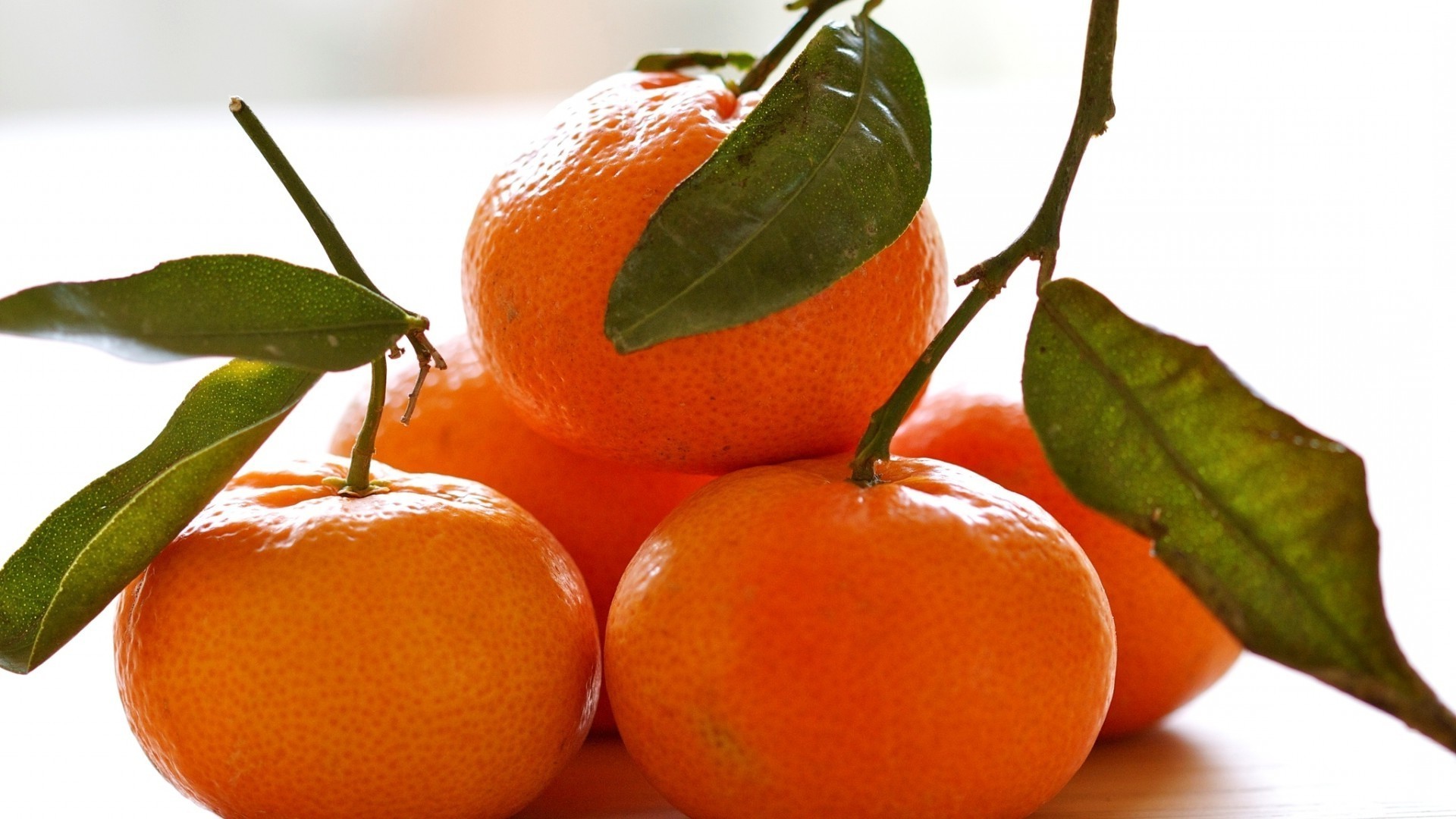 frutta foglia cibo succosa sano pasticceria succo di frutta agrumi salute mandarino mandarino agricoltura dieta tropicale freschezza crescere natura delizioso nutrizione