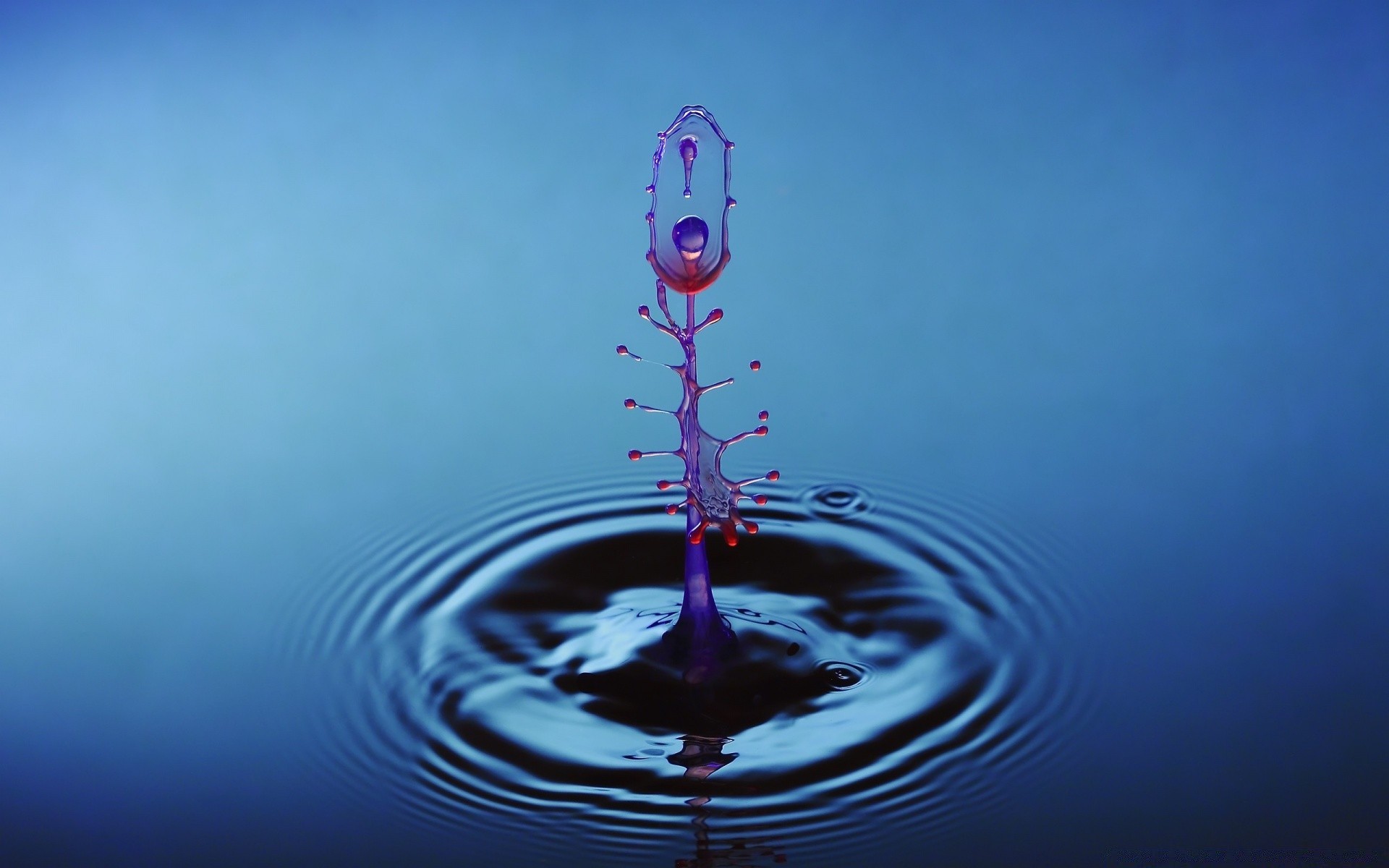 macro natura pioggia caduta acqua purezza riflessione splash cielo onda desktop colore bagnato ondulazione chiaro