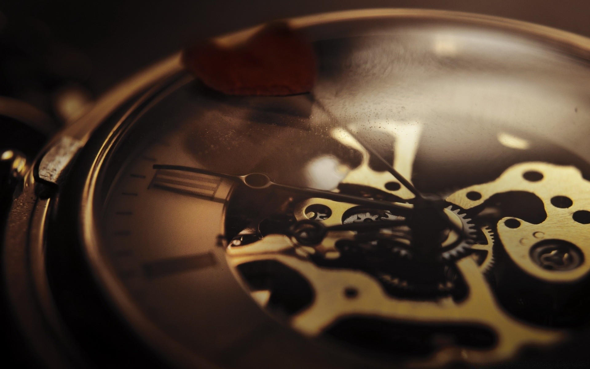 makroaufnahme uhr uhr zeit vintage geschäft präzision analog stillleben technologie