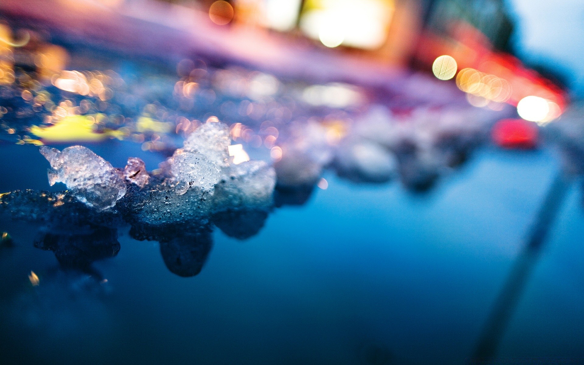 makroaufnahme wasser unterwasser unschärfe fische ozean meer licht farbe schwimmen