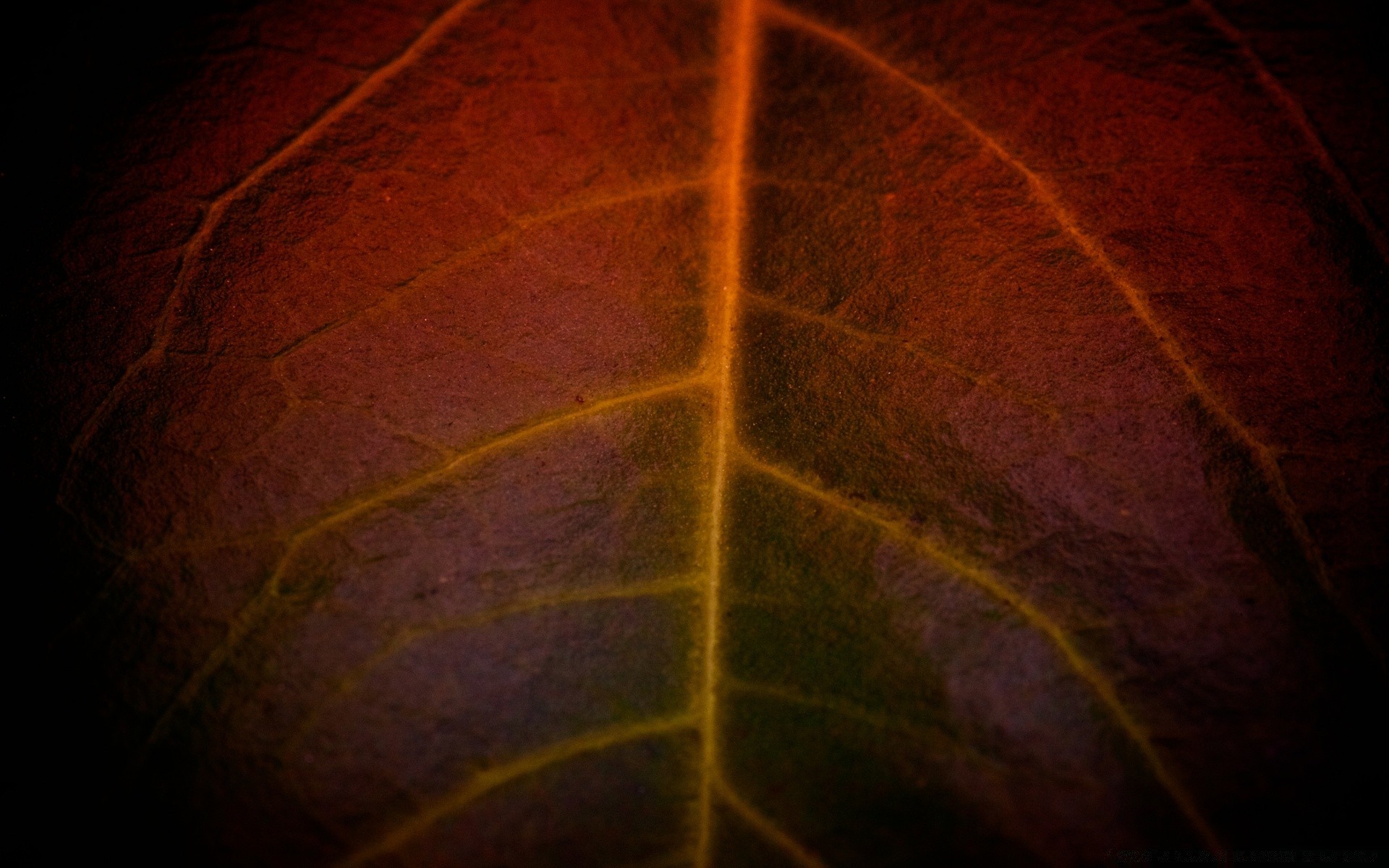 macro abstracto textura escritorio patrón color arte diseño fondo luz fondo de pantalla línea espacio oscuro construcción desenfoque