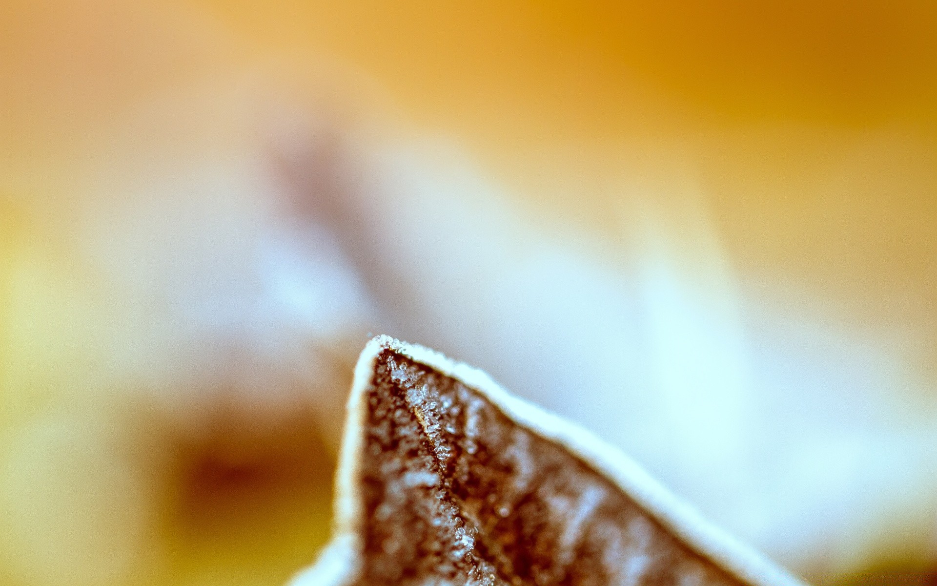 macro blur dof dawn still life food breakfast nature coffee