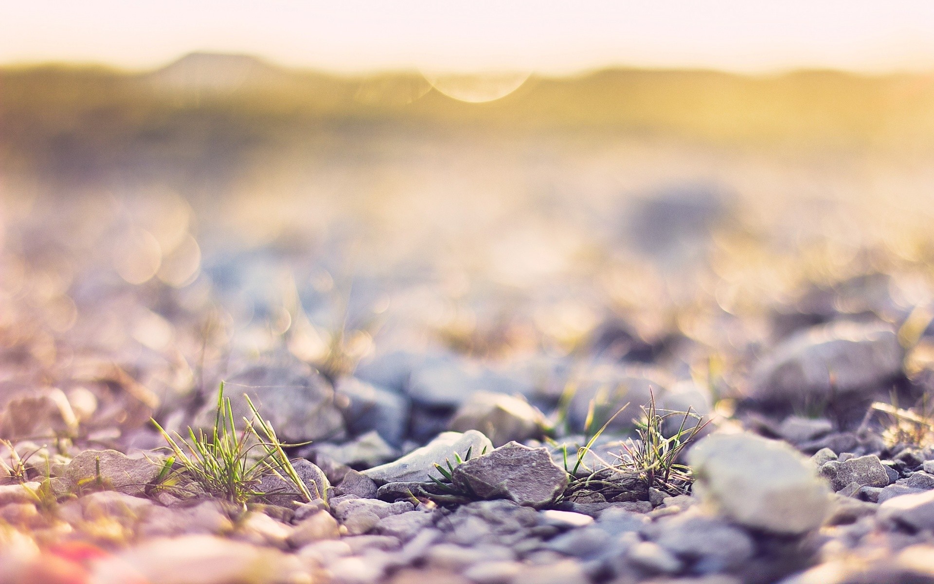 fotografia macro natureza paisagem deserto seco pôr do sol céu solo praia terra verão bom tempo areia área de trabalho campo ensolarado ao ar livre sol rocha grama viagens