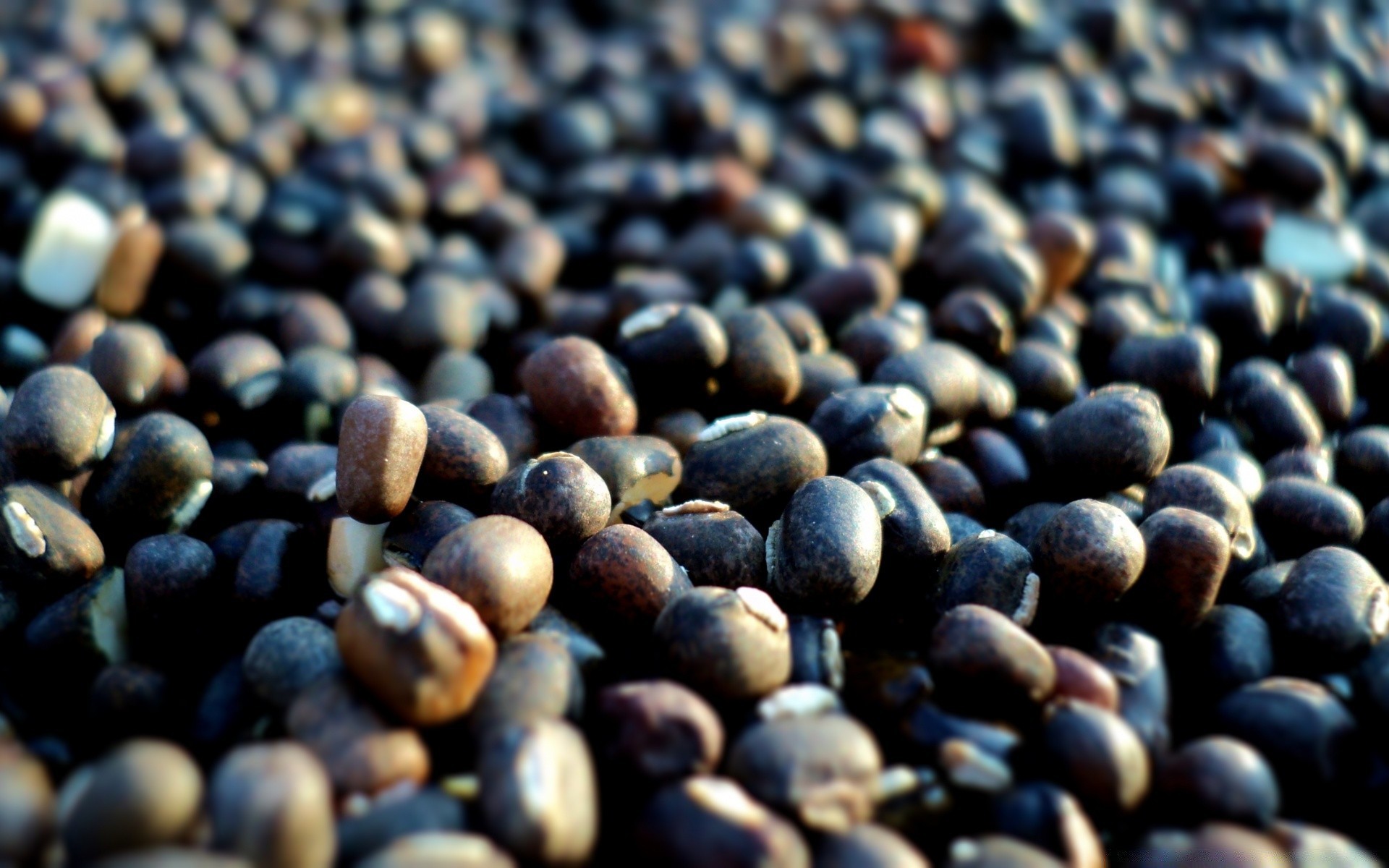 macro comida partido textura pila escritorio cosecha primer plano muchos alimentos frijoles semillas cereales seco pasto abundancia fruta agricultura