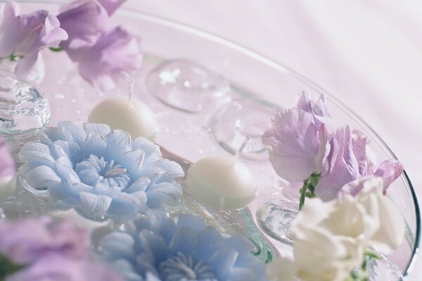 Delicate flower arrangements in a vase