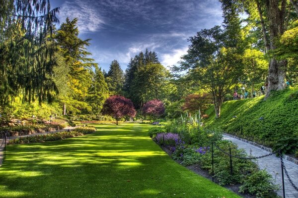 Angolo di un bellissimo giardino verde