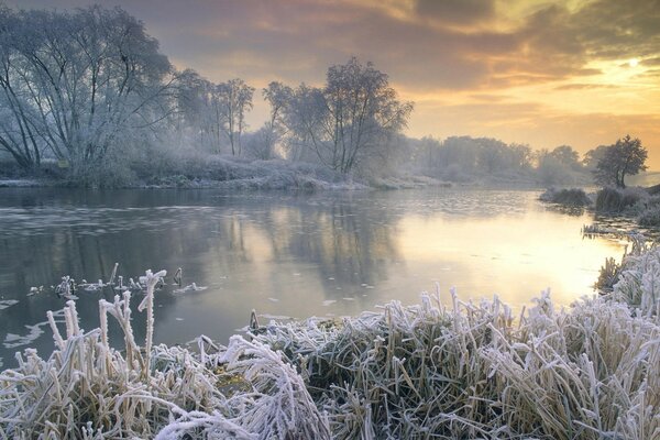 Paysage d hiver de la rivière et des arbres couverts de givre