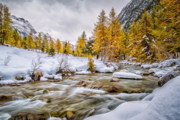 A stream through the winter forest