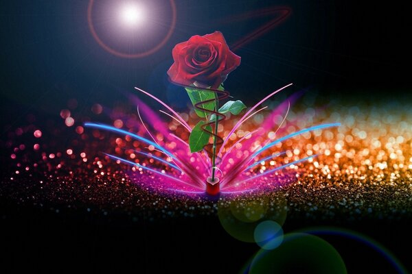 Rose and bright colors on the desktop