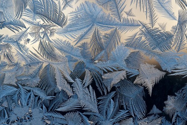 Frosty pattern on cold glass