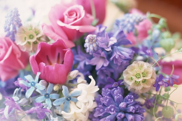 Ramo de flores. Flores multicolores. Belleza