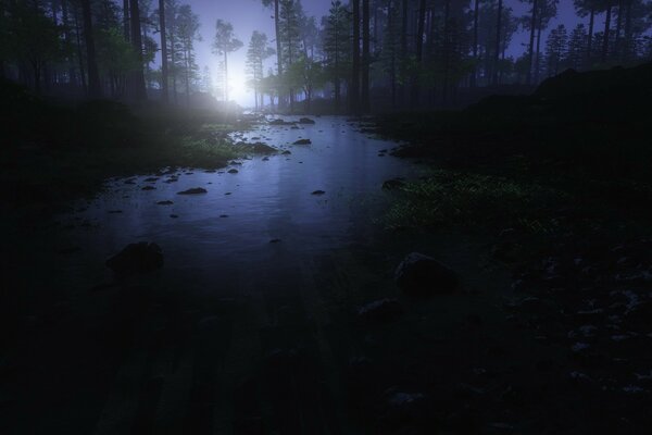 Rivière éclairée par la lune dans la forêt de nuit