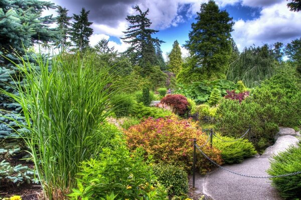Paysage de jardin d été