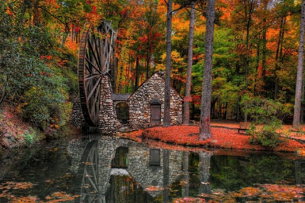 Moulin dans la forêt d automne près de l étang