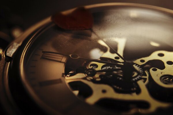 Primo piano del meccanismo dell orologio smontato