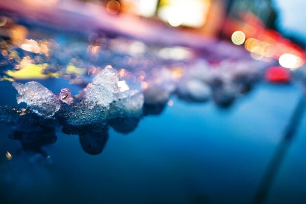 Macro photography. Water. Desktop Wallpapers