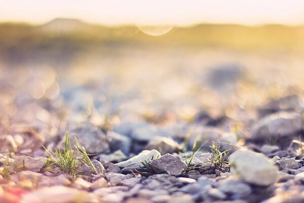 A dry road in a desert landscape