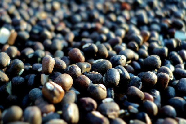 Artificial cultivation of a pile batch