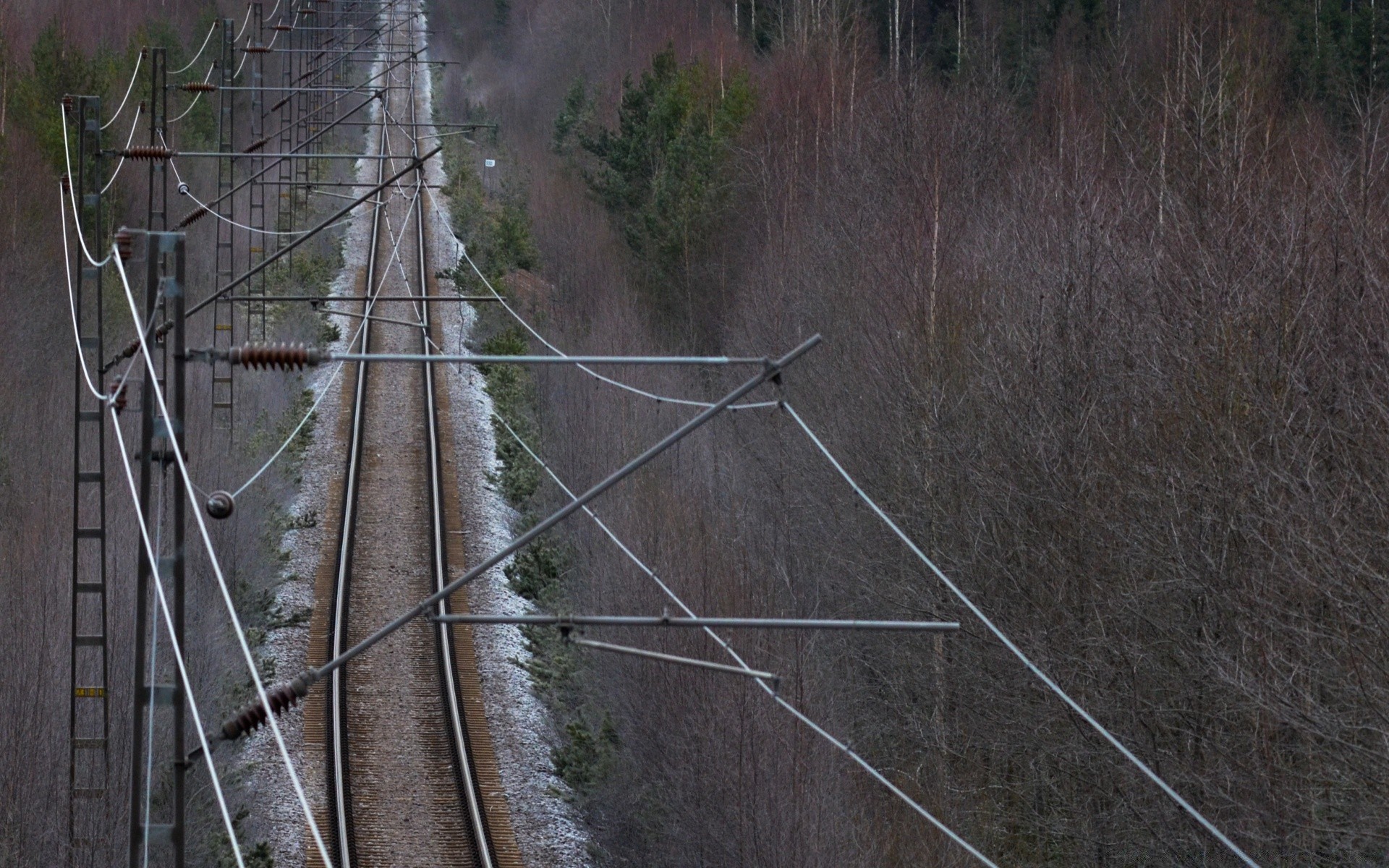 pociągi drewno natura drewno na zewnątrz pulpit