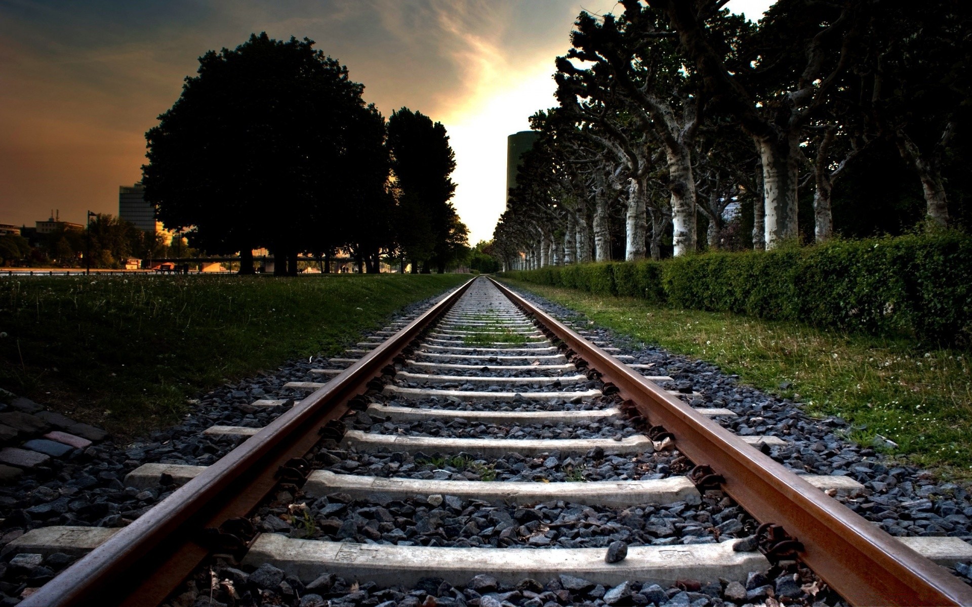 zug eisenbahn track zug straße reisen reiseführer transportsystem im freien licht perspektive baum kies kreuzung himmel tageslicht landschaft