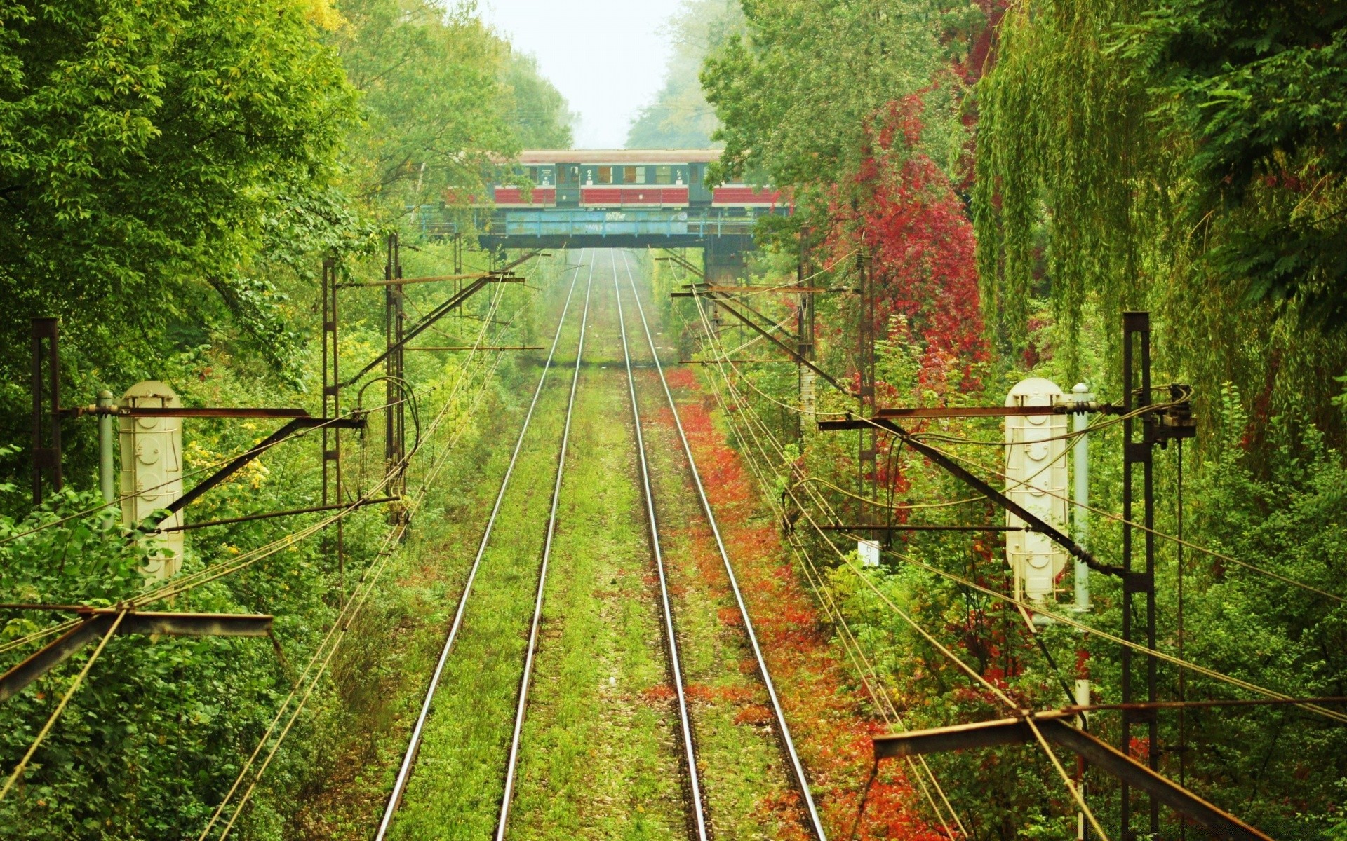 pociągi wood nature tree outdoor travel leaf summer bridge train landscape guide grass park środa jesień wiejski system transportu kolejowego