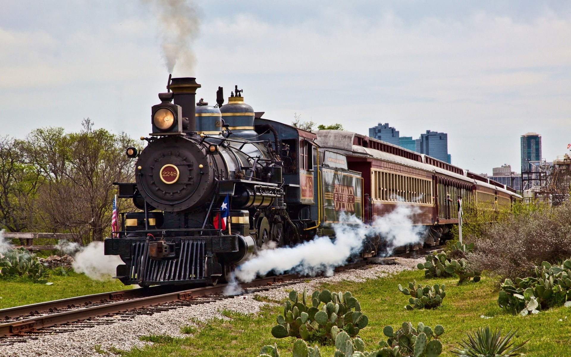 trains train railway steam engine transportation system track smoke vehicle travel coal daylight outdoors industry