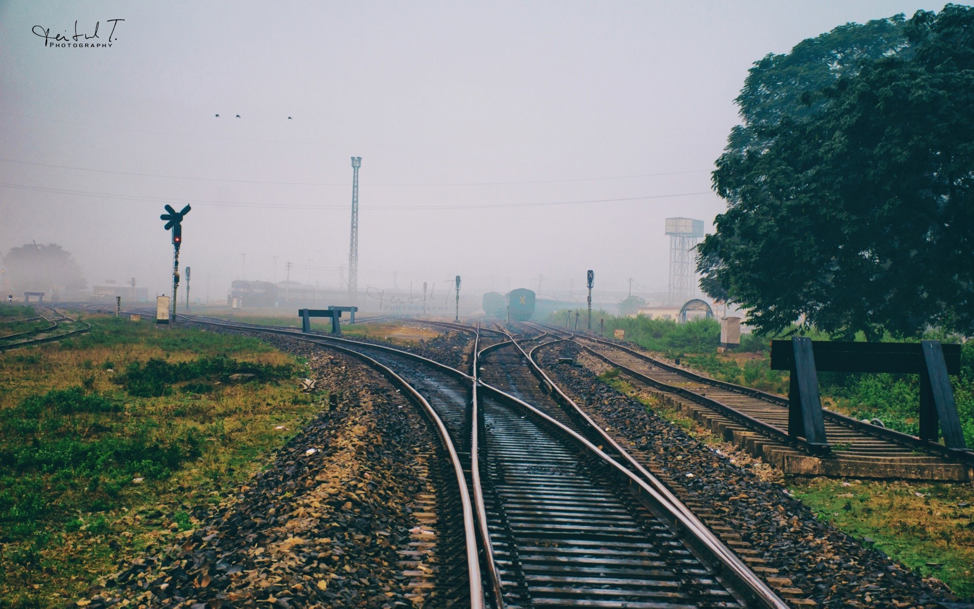 pociągi pociąg kolejowy system transportu utwór podróży droga na zewnątrz przewodnik światło dzienne niebo poziome krajobraz drzewo trawa natura