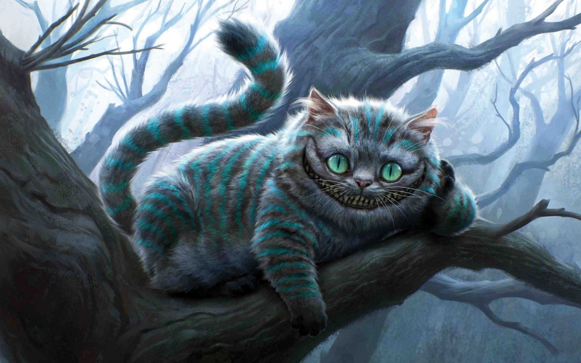 alice nel paese delle meraviglie ritratto gatto animale domestico animale da solo mammifero natura carino