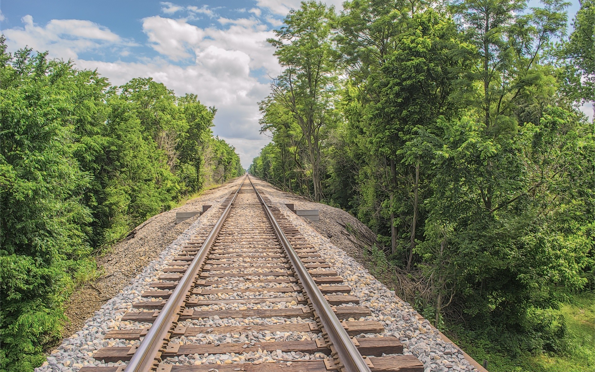 zug track schiene guide reisen zug holz im freien straße natur holz perspektive sommer transportsystem landschaft kies