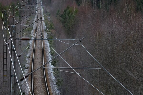 Train wagon forest tree