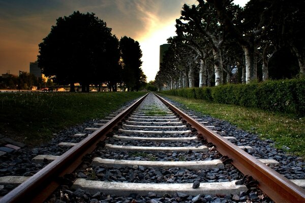 Las vías del tren en el sol