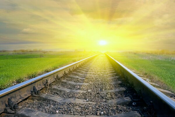 Train sun rails wallpaper with train