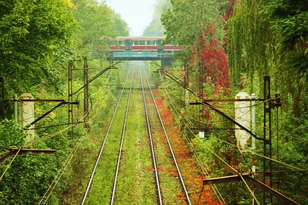 Chemins de fer russes en été