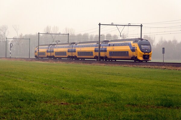 ELECTRIC TRAIN IN FOG ON THE BACKGROUND OF A LAWN IN FOG