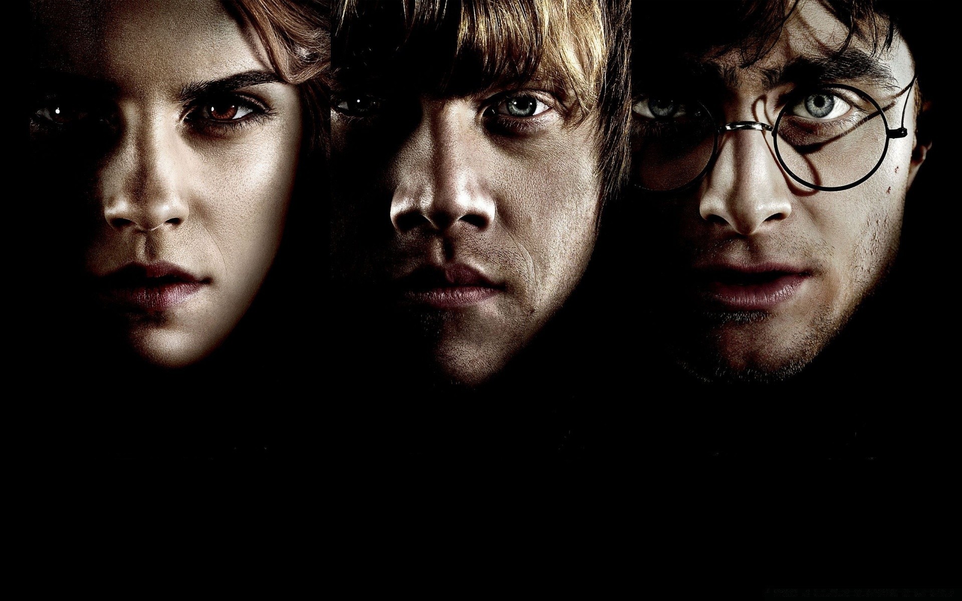 harry potter ritratto adulto uomo moda musica monocromatico uno indossare faccia due