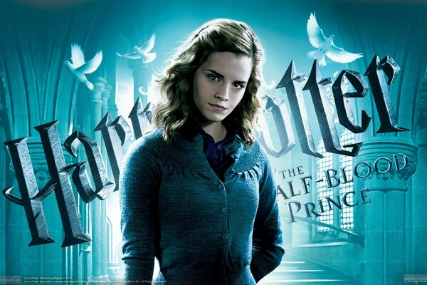 The girl is one of the main heroines of Harry Potter. Hermione