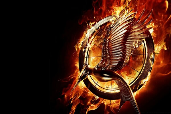 Hunger Games e fiamme scoppiano film