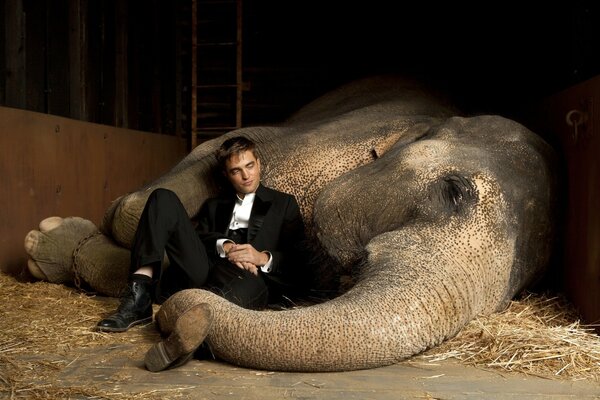 El elefante solitario, fotograma de la película