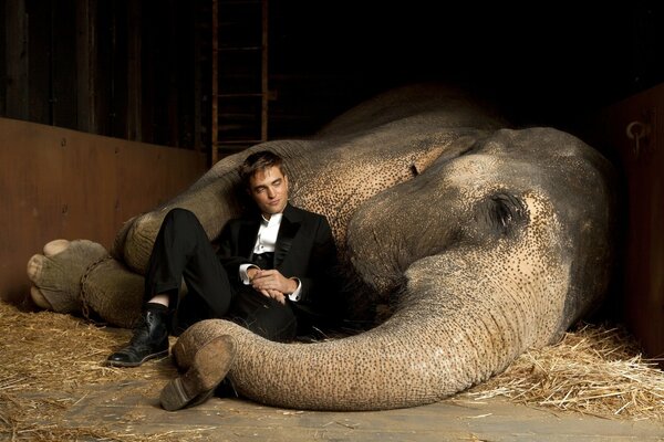 Lone Elephant, un cadre du film