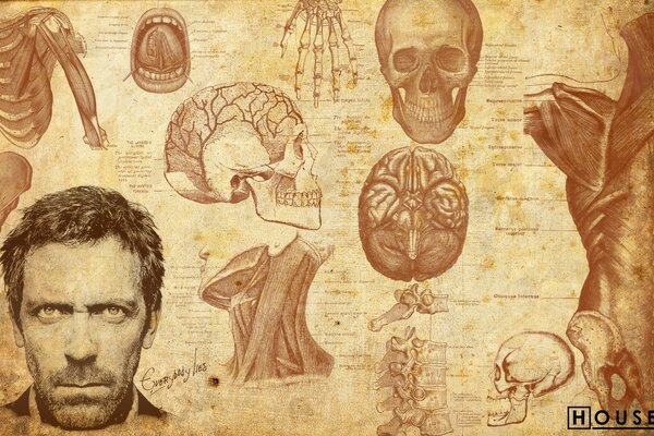 Dr. House, poster medico disegnato a mano