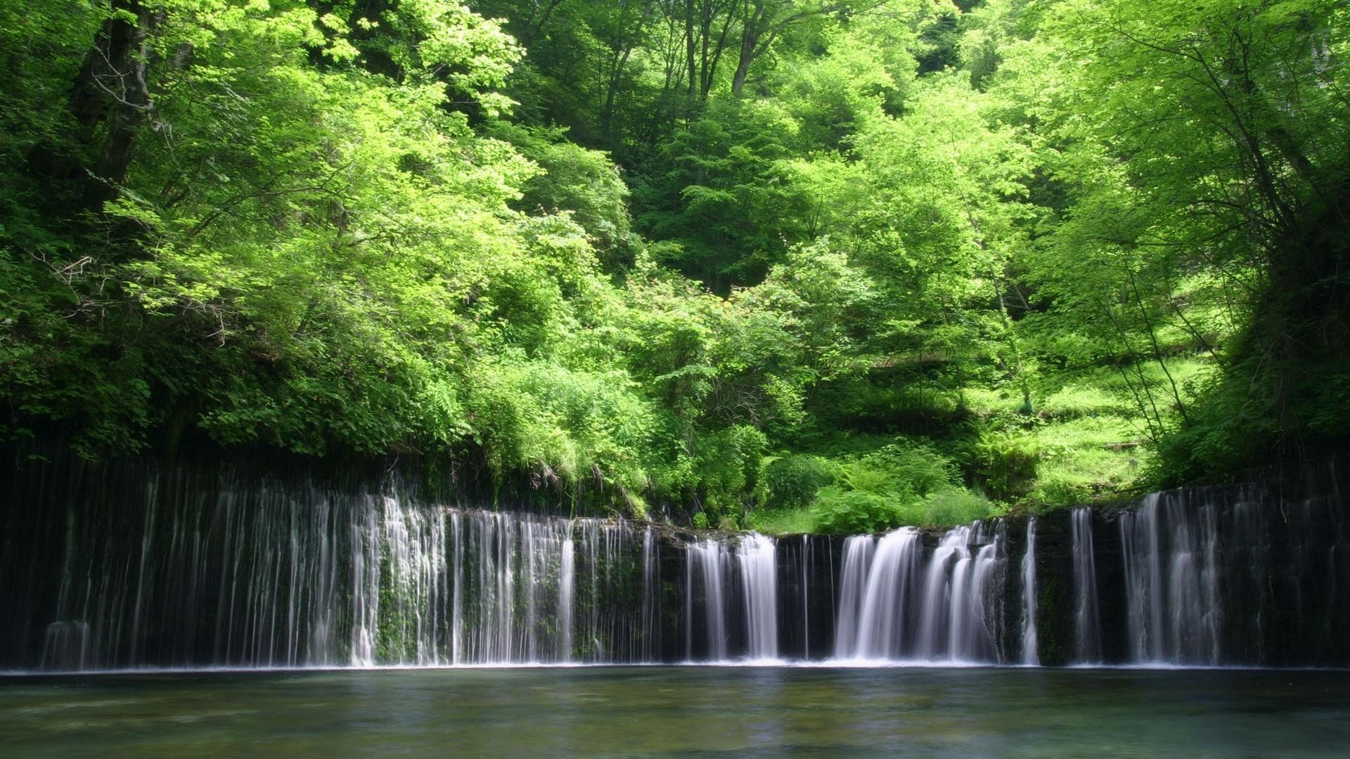 cascadas agua madera naturaleza río cascada hoja árbol paisaje corriente parque exuberante al aire libre verano medio otoño salvaje escénico viajes mojado