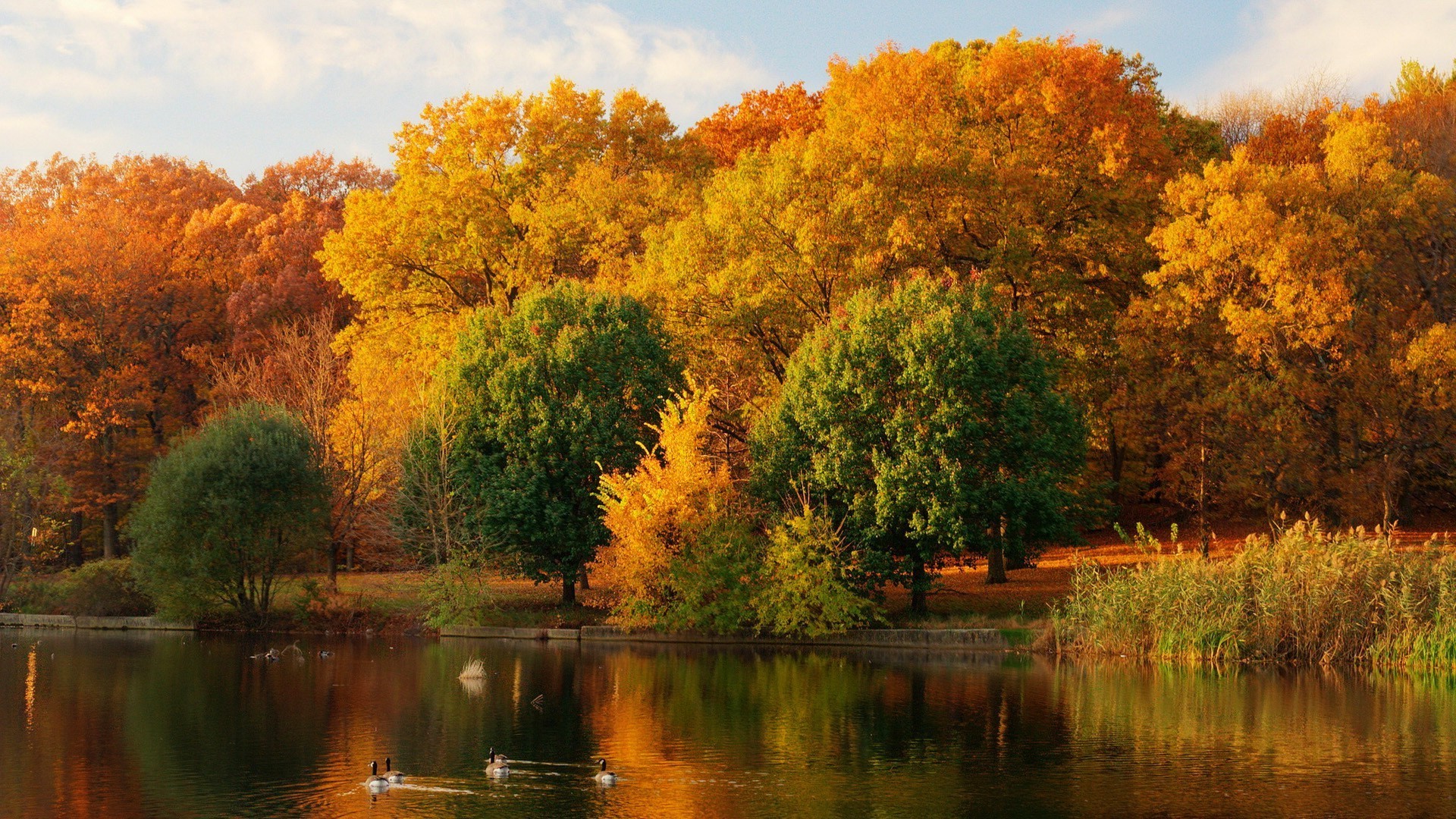 see herbst baum natur blatt wasser fluss im freien landschaft dämmerung holz reflexion park gelassenheit sonnenuntergang landschaftlich hell schwimmbad gutes wetter