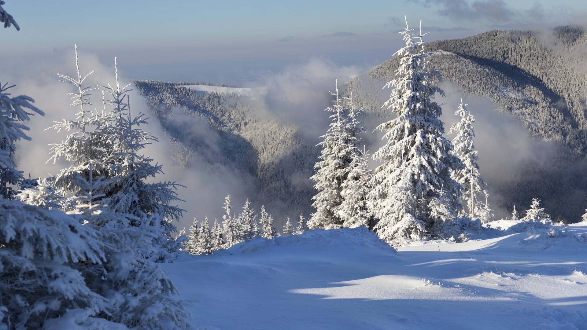 hiver neige froid montagnes glace gel bois neigeux scénique congelé evergreen paysage station pic de montagne conifères