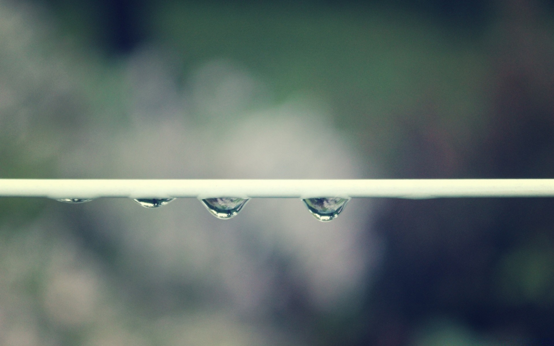 macro rain nature drop leaf dew water summer droplet abstract outdoors fair weather dawn grass blur environment flora color light