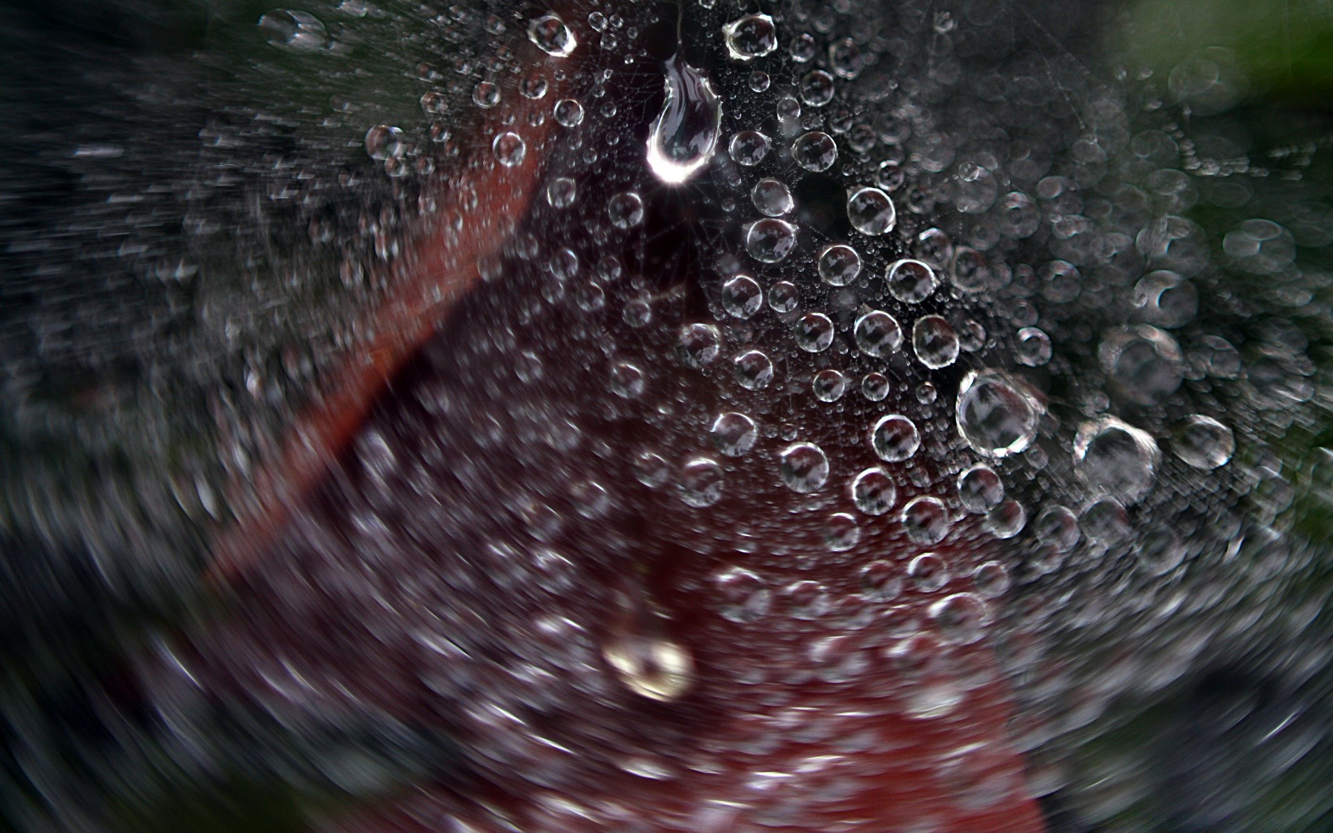 fotografia macro chuva molhado gota orvalho água bolha gotas limpo vertedouro respingo líquido gotas reflexão claro limpar beber brilha vidro lavar