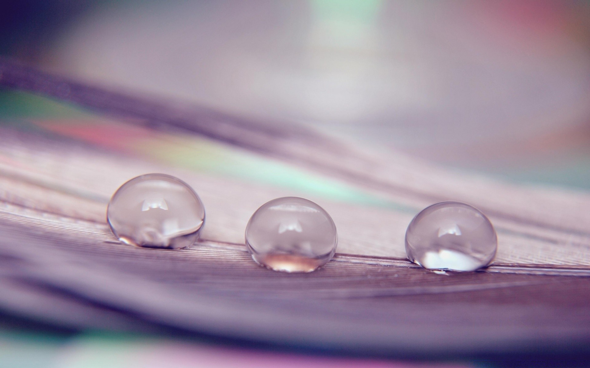 makro medizin schließen desktop tropfen gesundheit farbe regen wasser rund sauber reflexion behandlung gesund nass glänzt medizinisch tau