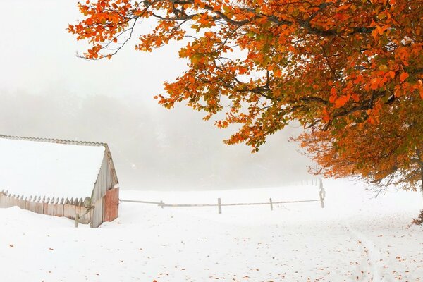 Der Herbst hat keine Zeit gehabt zu gehen, der Winter hat sich zu seinen Rechten entwickelt